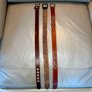 Stylish Women's Leather Belt Set